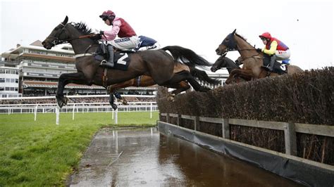 Ladbrokes Trophy Betting: Best Ladbrokes Trophy Betting Sites.